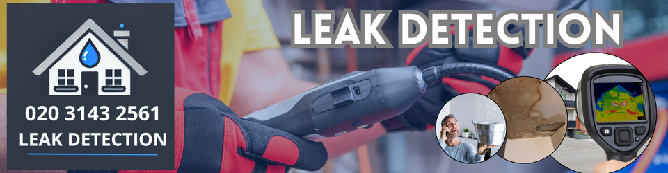 Putney Leak Detection