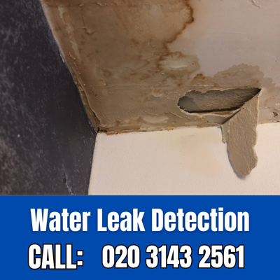 Expert Water Leak Detection Services in Putney | Putney Leak Detection